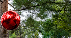 View all Wreaths and Garlands