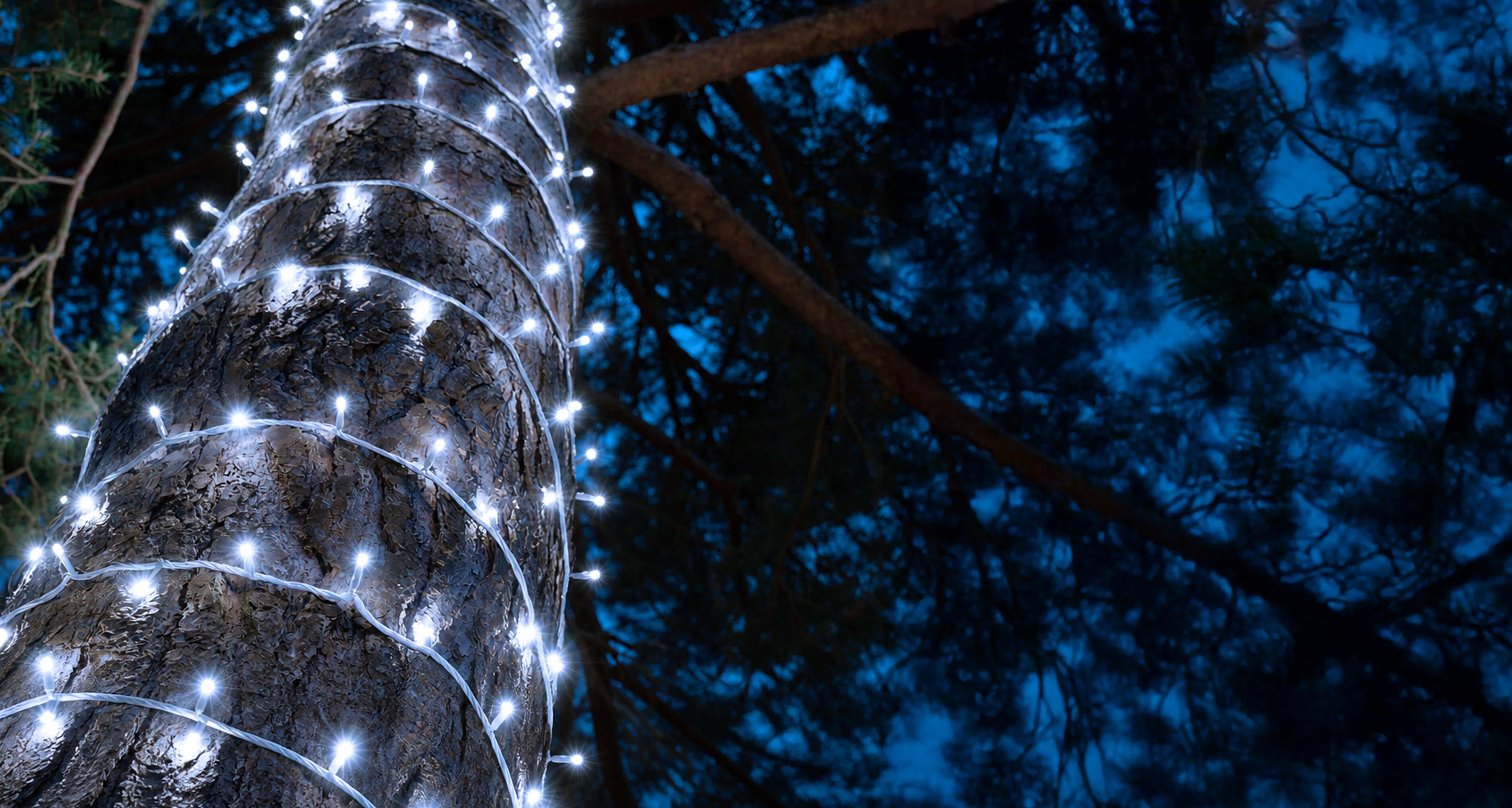 Crownvine Connectable Bright White Fairy Lights - White Rubber Cable - Multiple Lengths