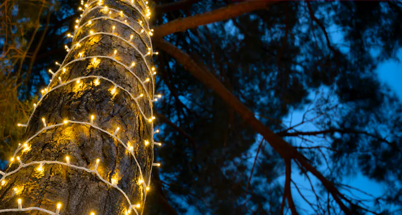 Crownvine Connectable Warm White Fairy Lights - White Rubber Cable - Multiple Lengths