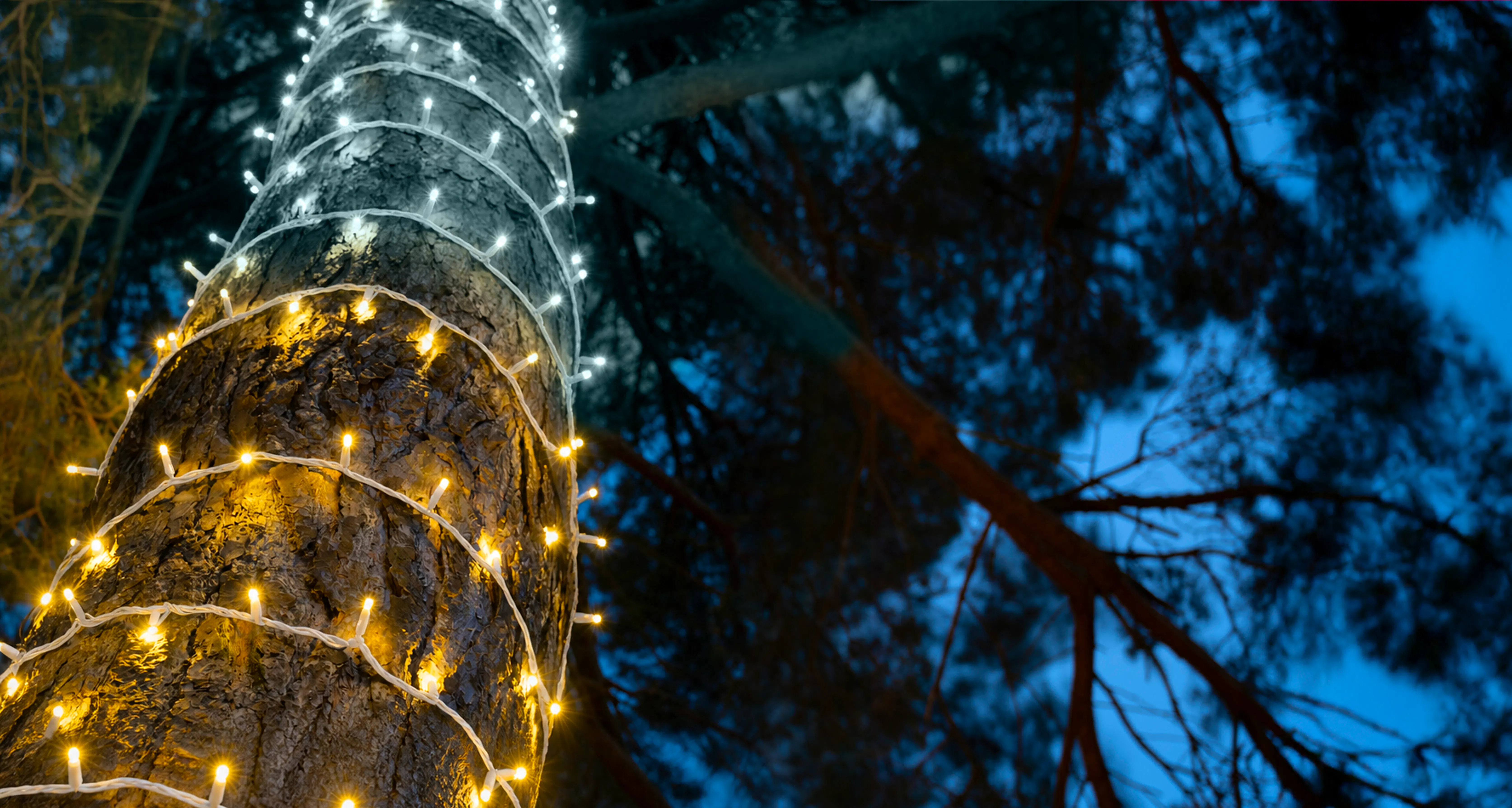 Crownvine Connectable Dual Colour Fairy Lights - Warm White / Bright White - White Rubber Cable - Multiple Lengths