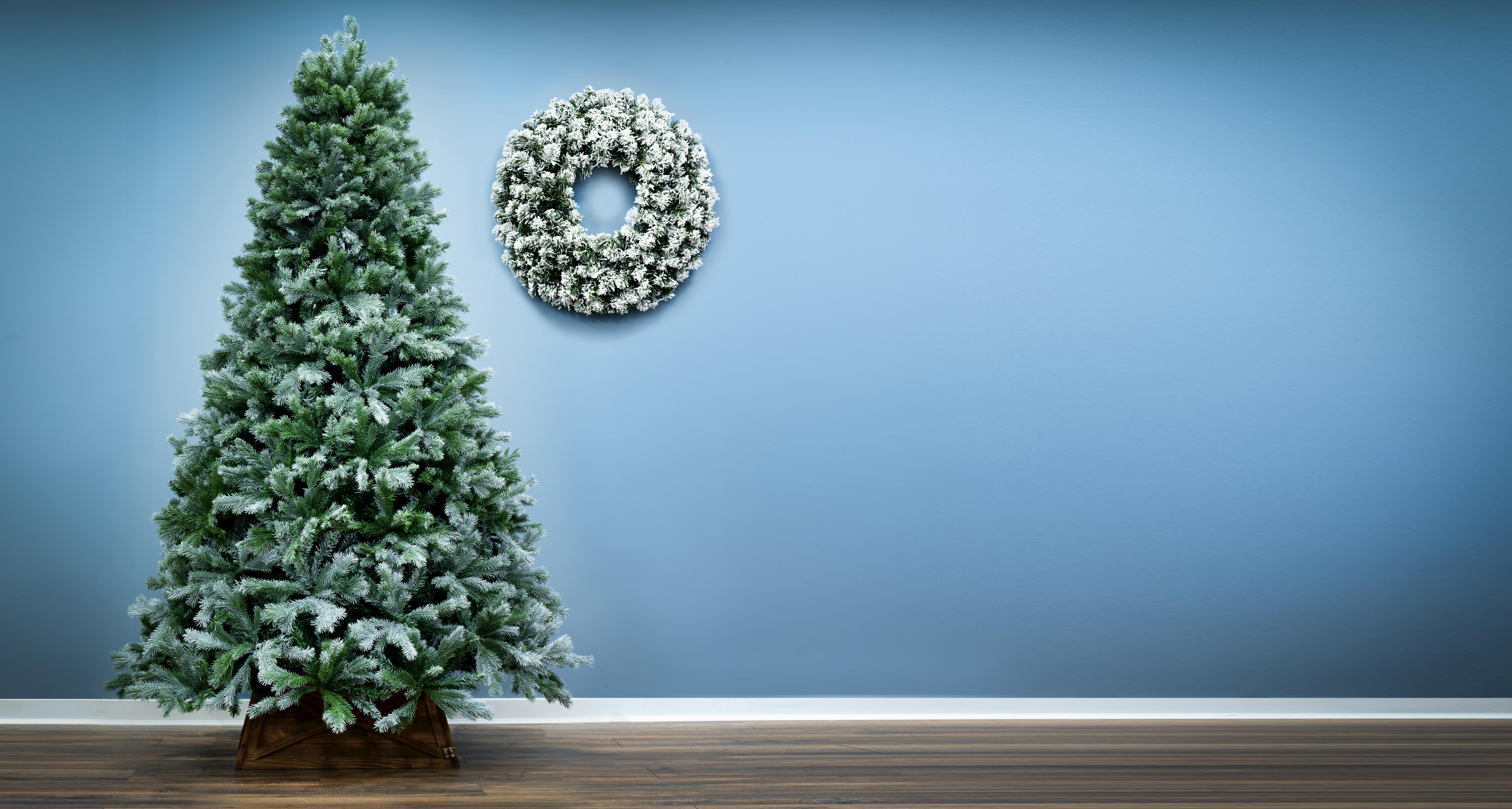 The Arbor Blue Pine Tree (6ft to 8ft)