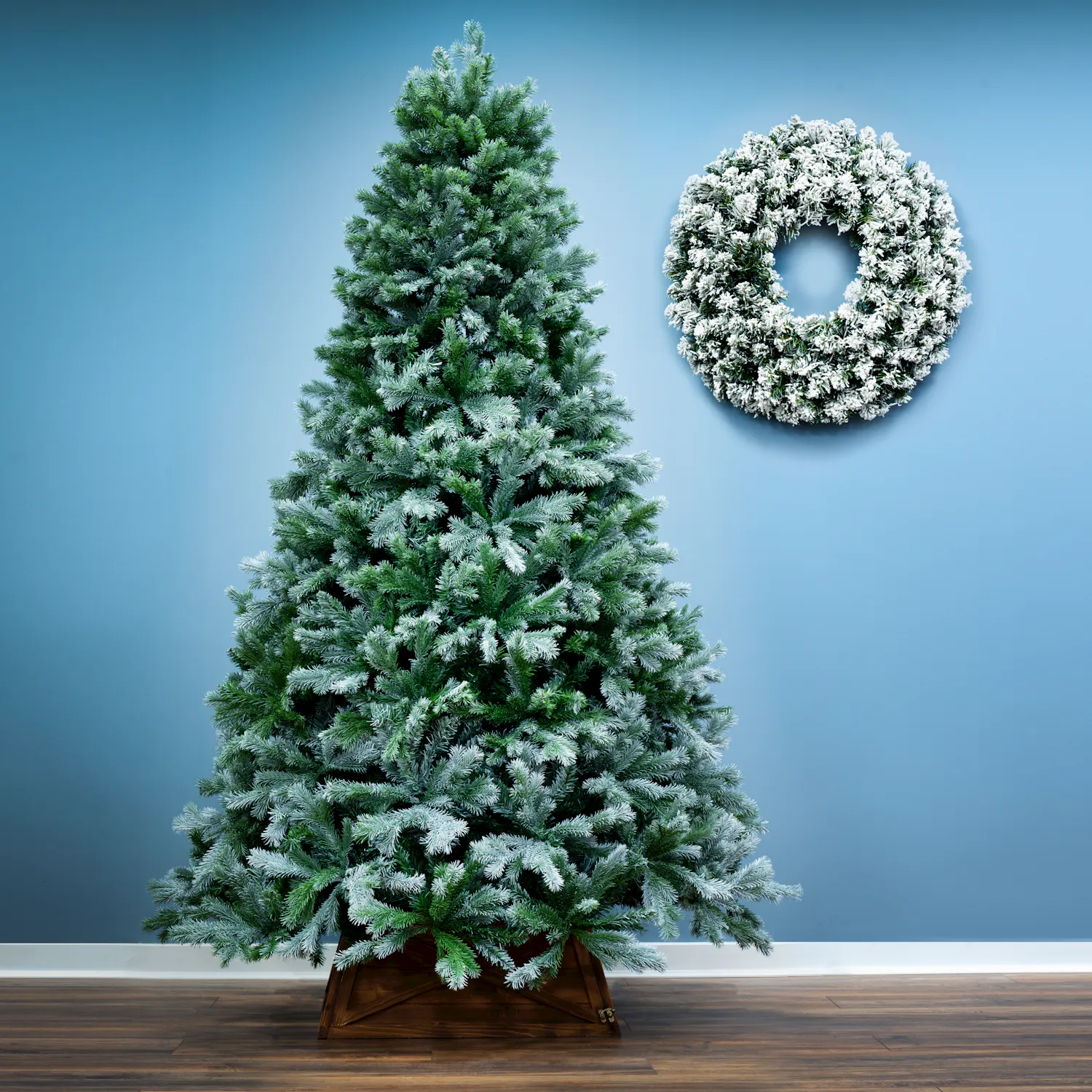 The 6ft Arbor Blue Pine Tree