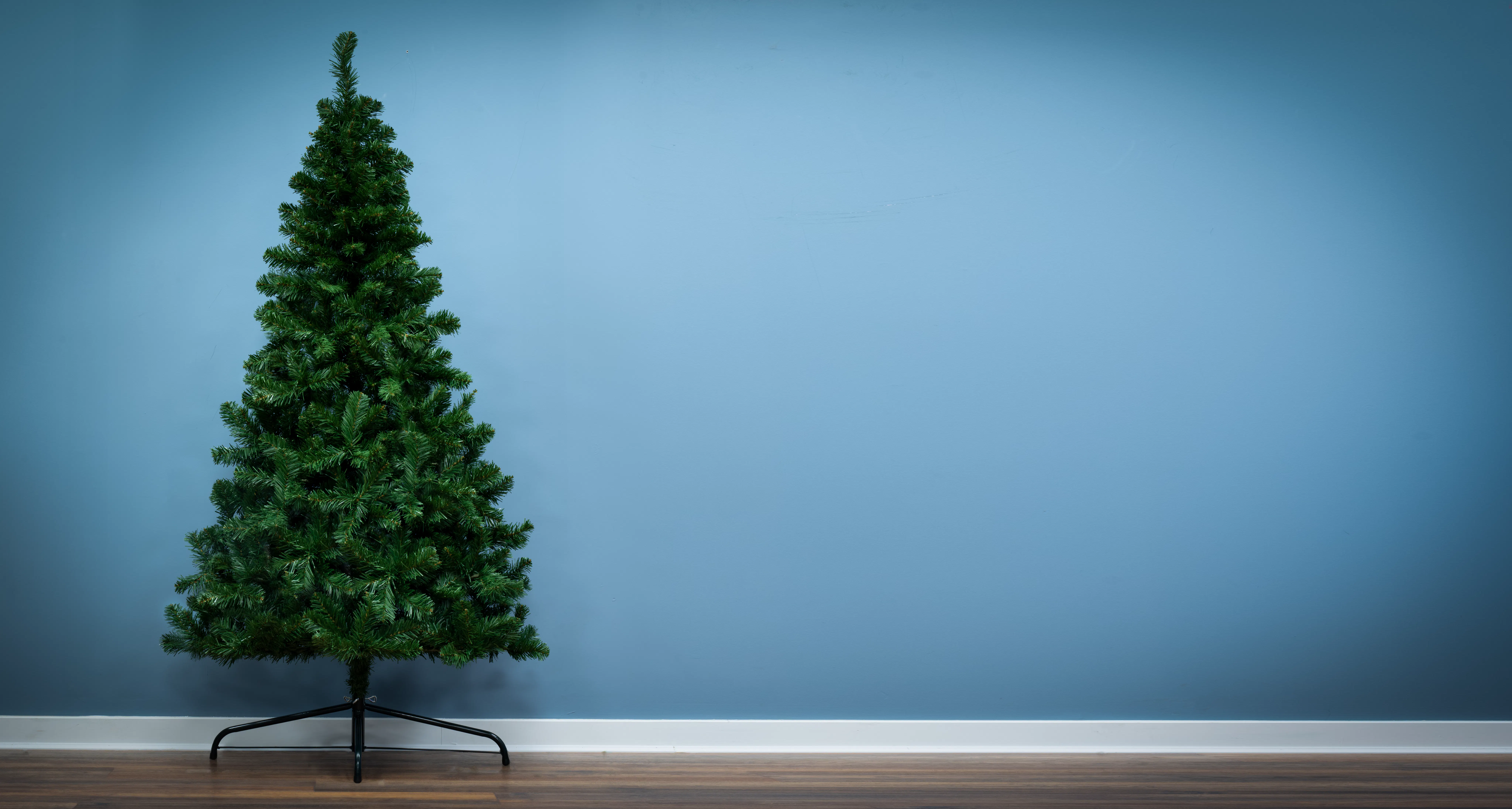 The 4ft Arbor Vitae Fir Half Tree