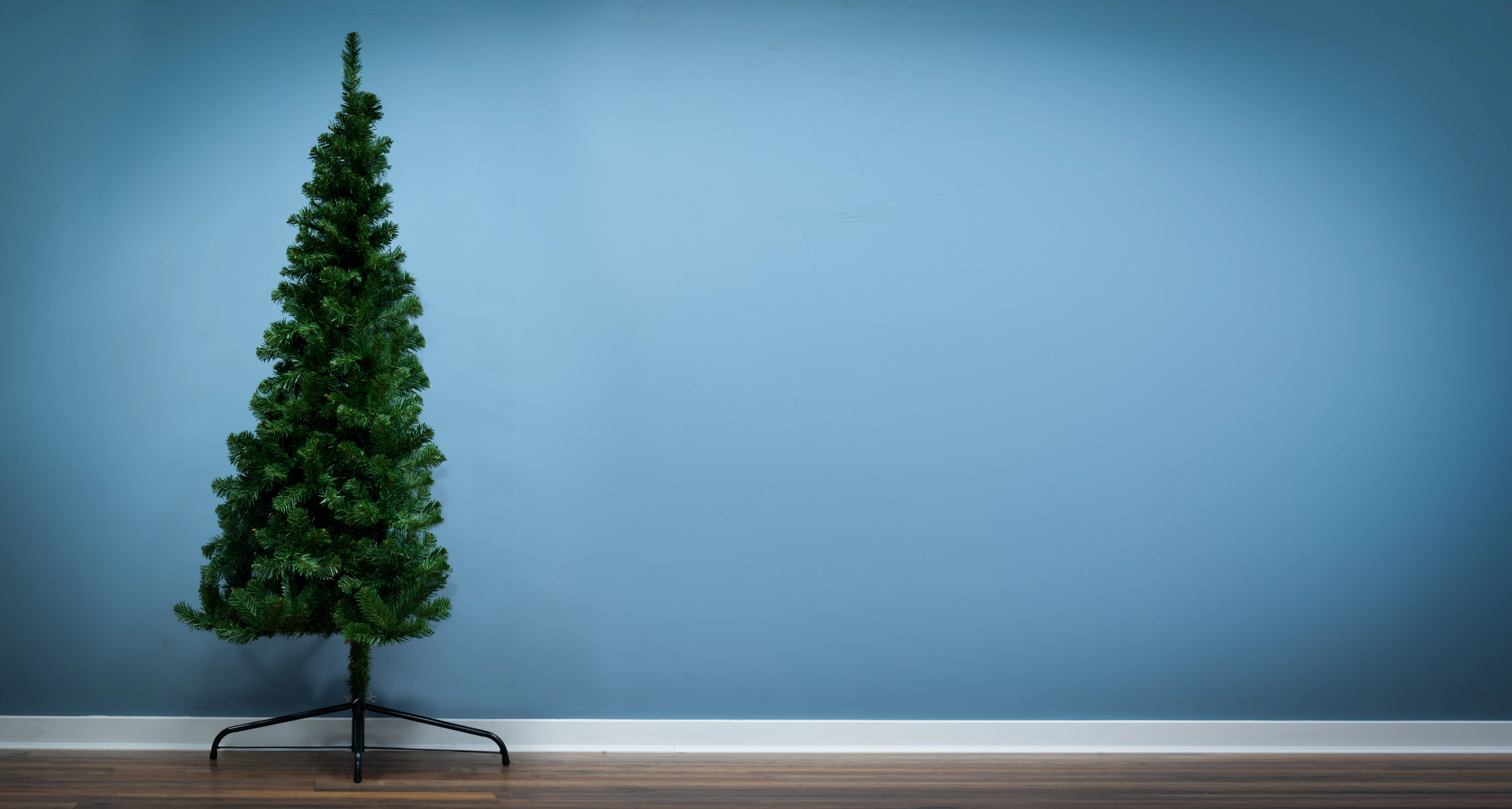 The 6ft Arbor Vitae Fir Half Tree