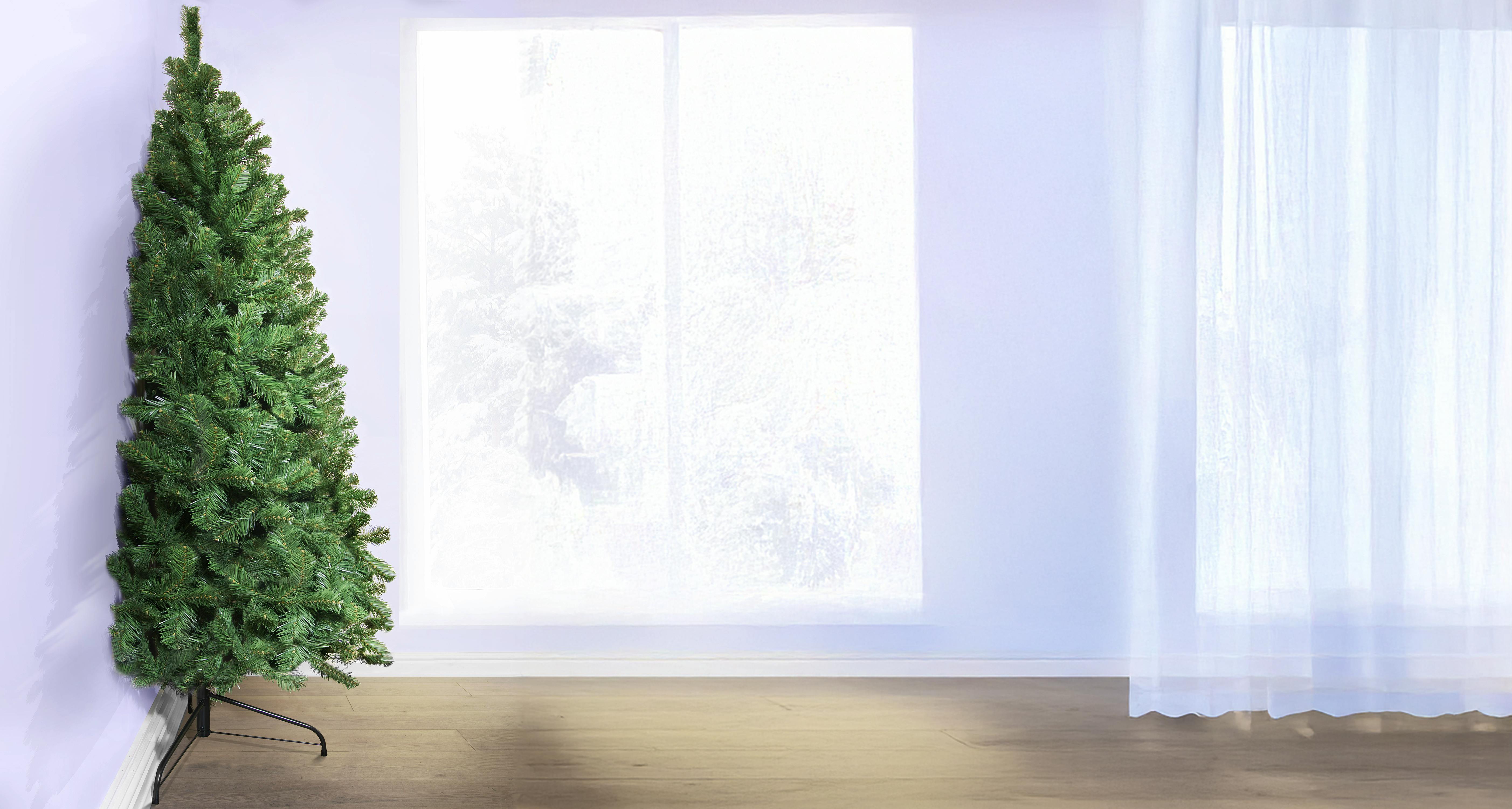 The 4ft Arbor Vitae Fir Half Tree