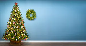 View all Wreaths and Garlands