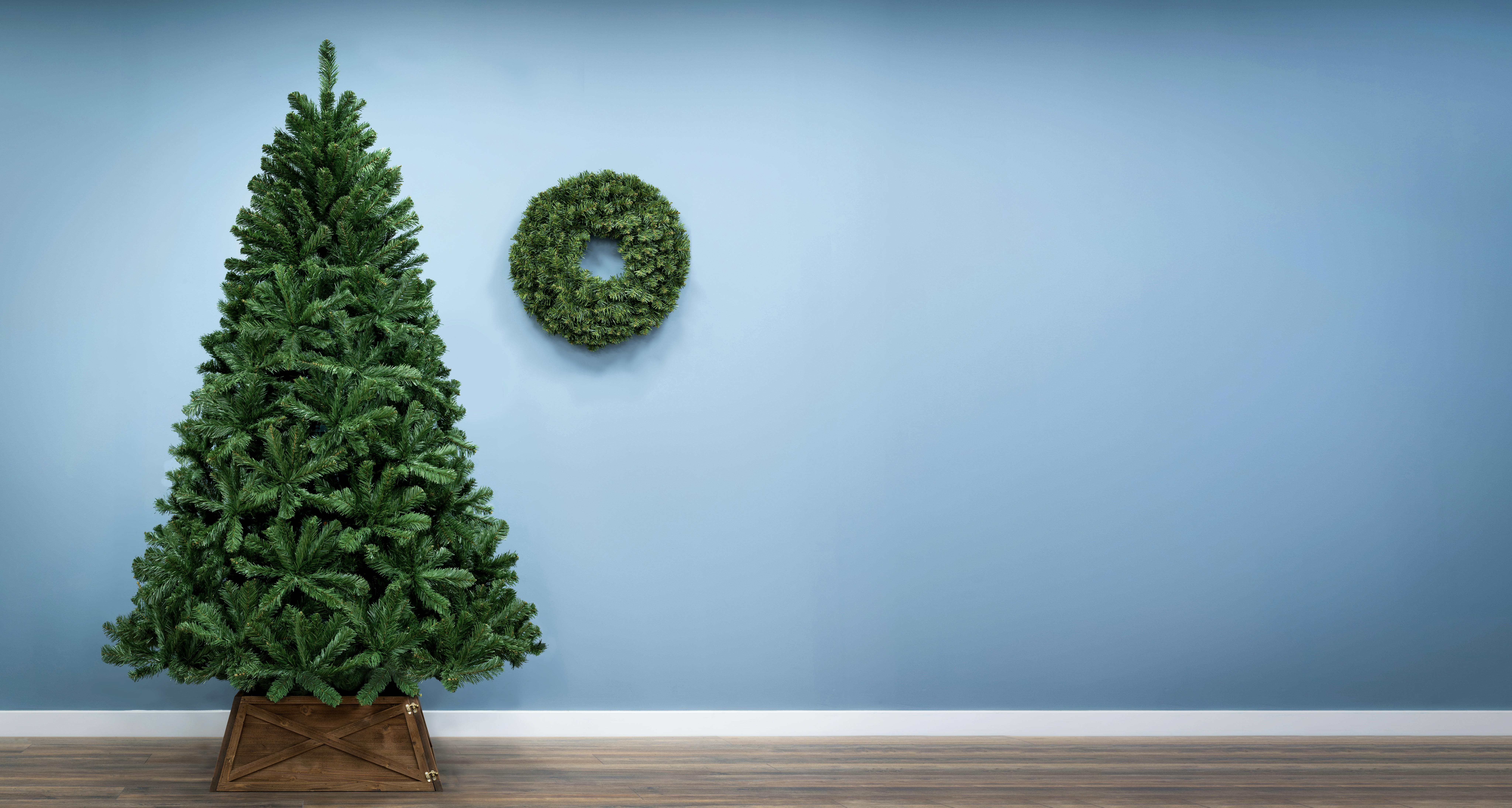 The 9ft Arbor Vitae Fir Tree