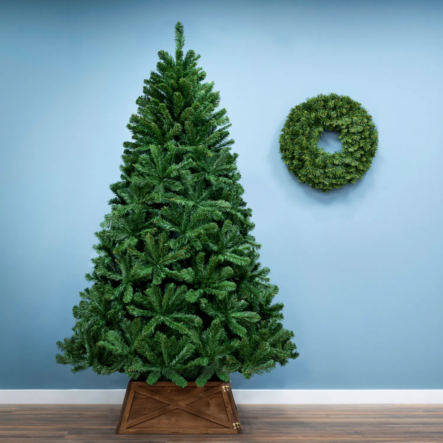 The 8ft Arbor Vitae Fir Tree