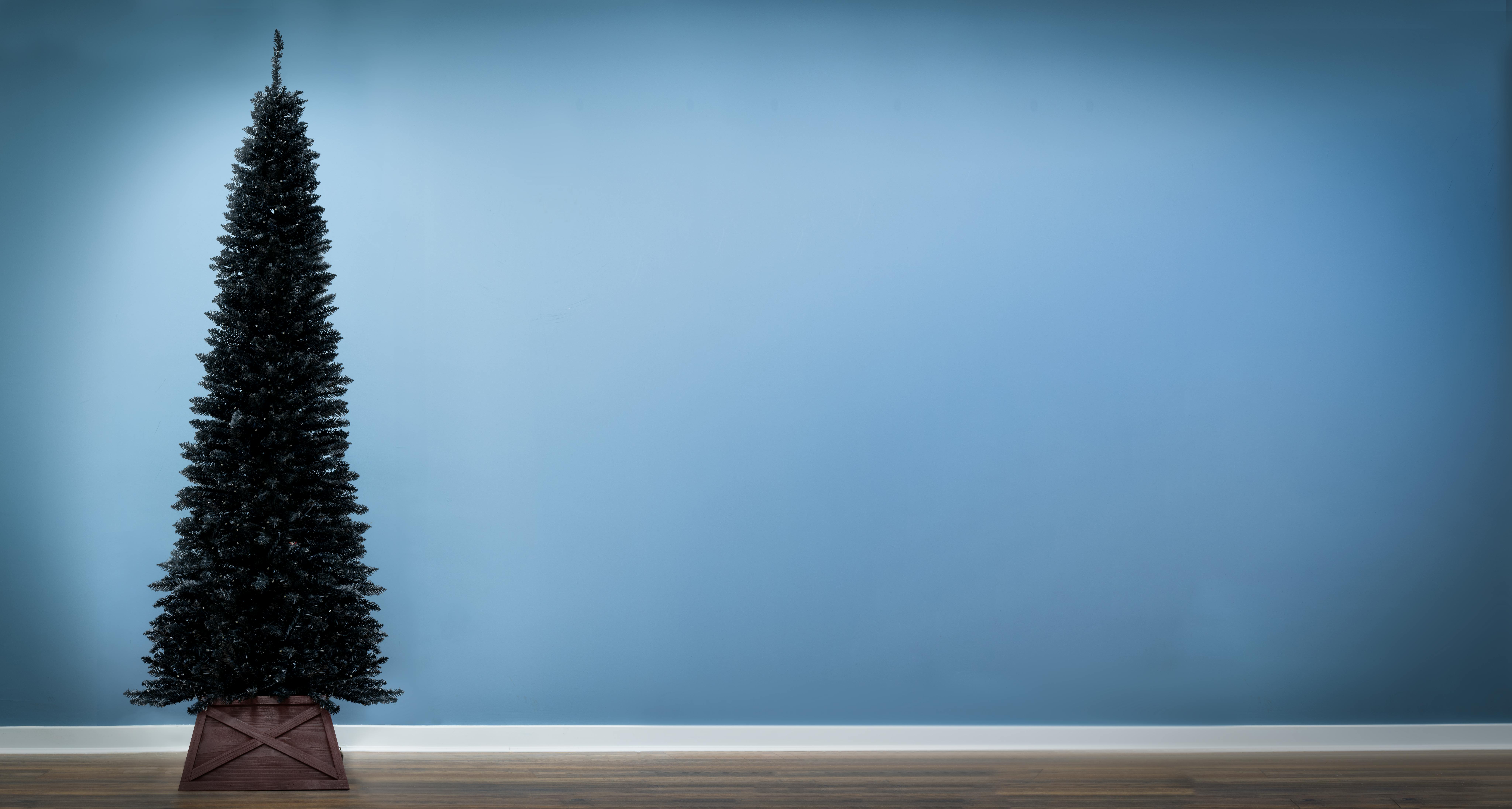 The 4ft Black Italian Pencilimo Tree