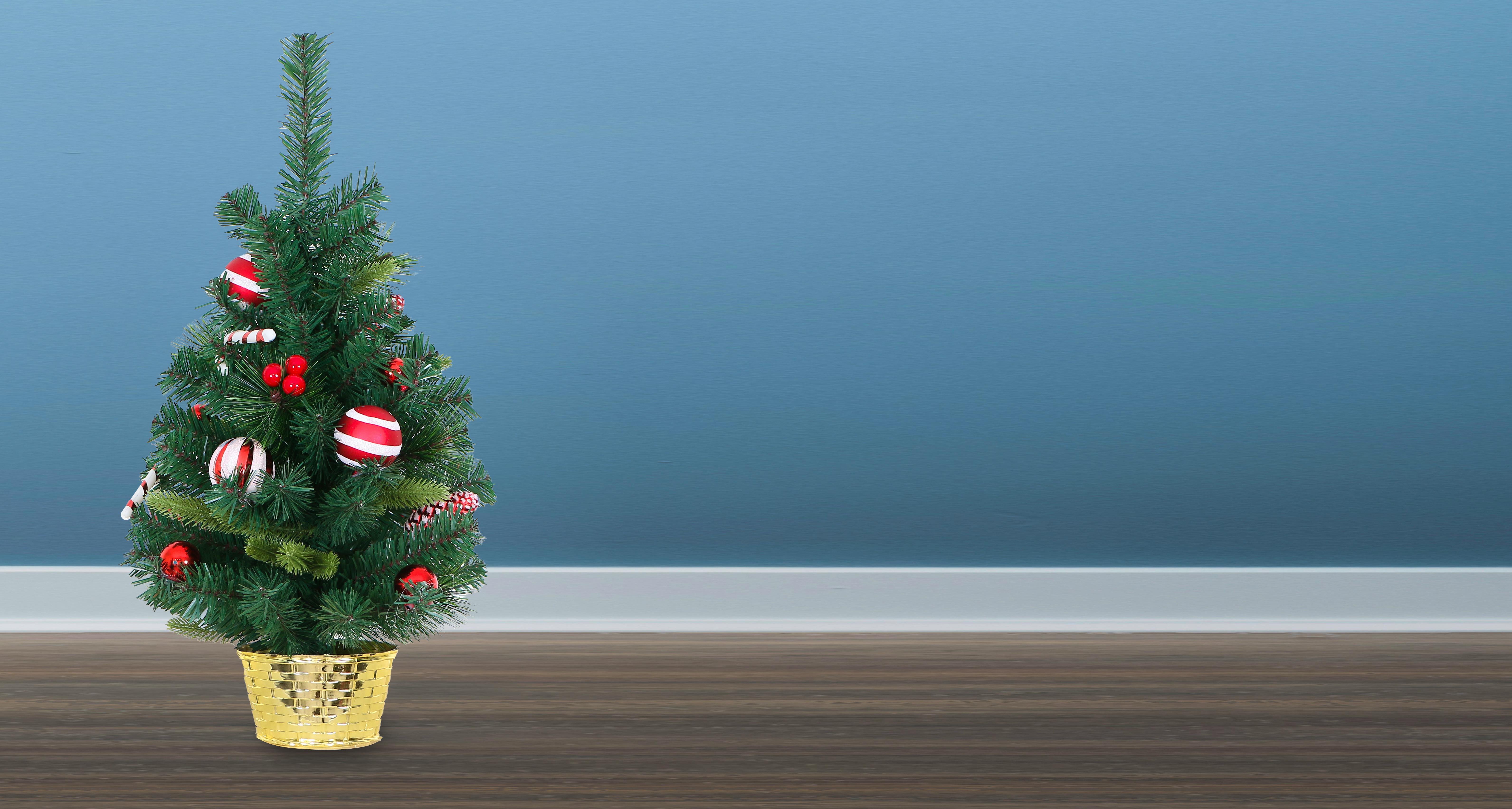 60cm Decorated Mixed Pine Mini Tree with Red & White Candy Canes