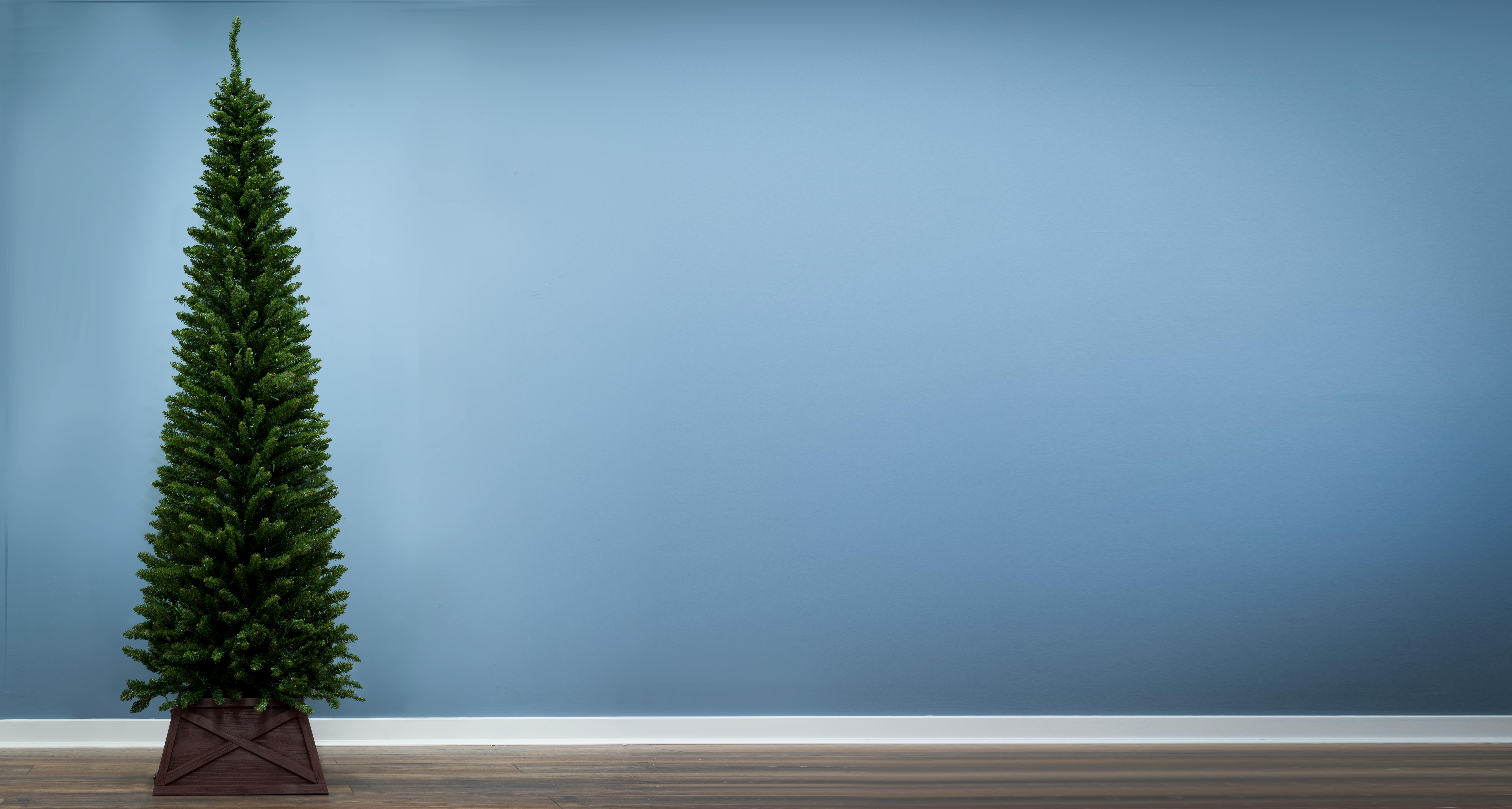 The 4ft Green Italian Pencilimo Tree