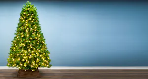 Snowy and flocked artificial Christmas trees
