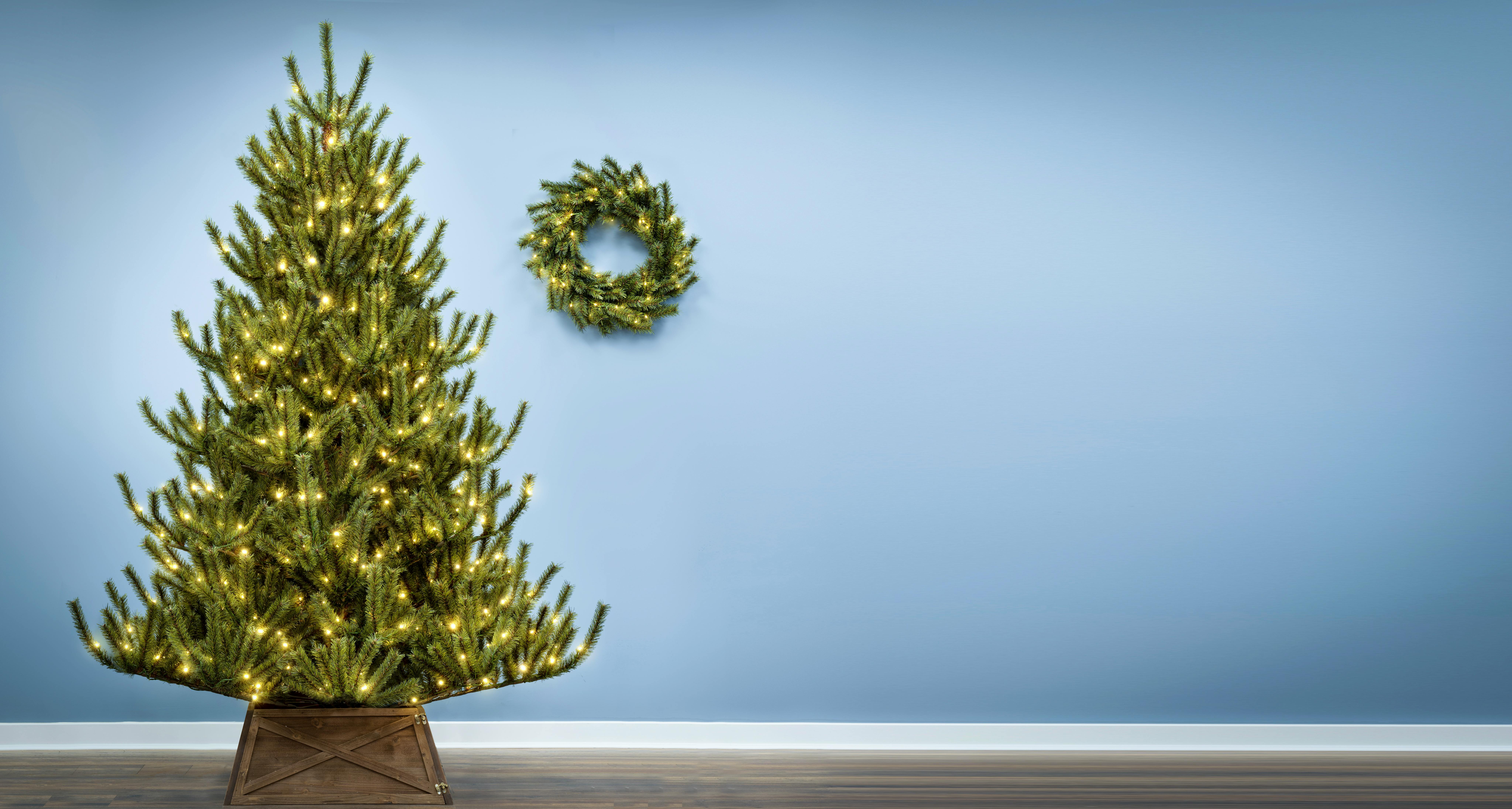 The 6ft Pre-lit Matterhorn Pine - Warm White LED lights