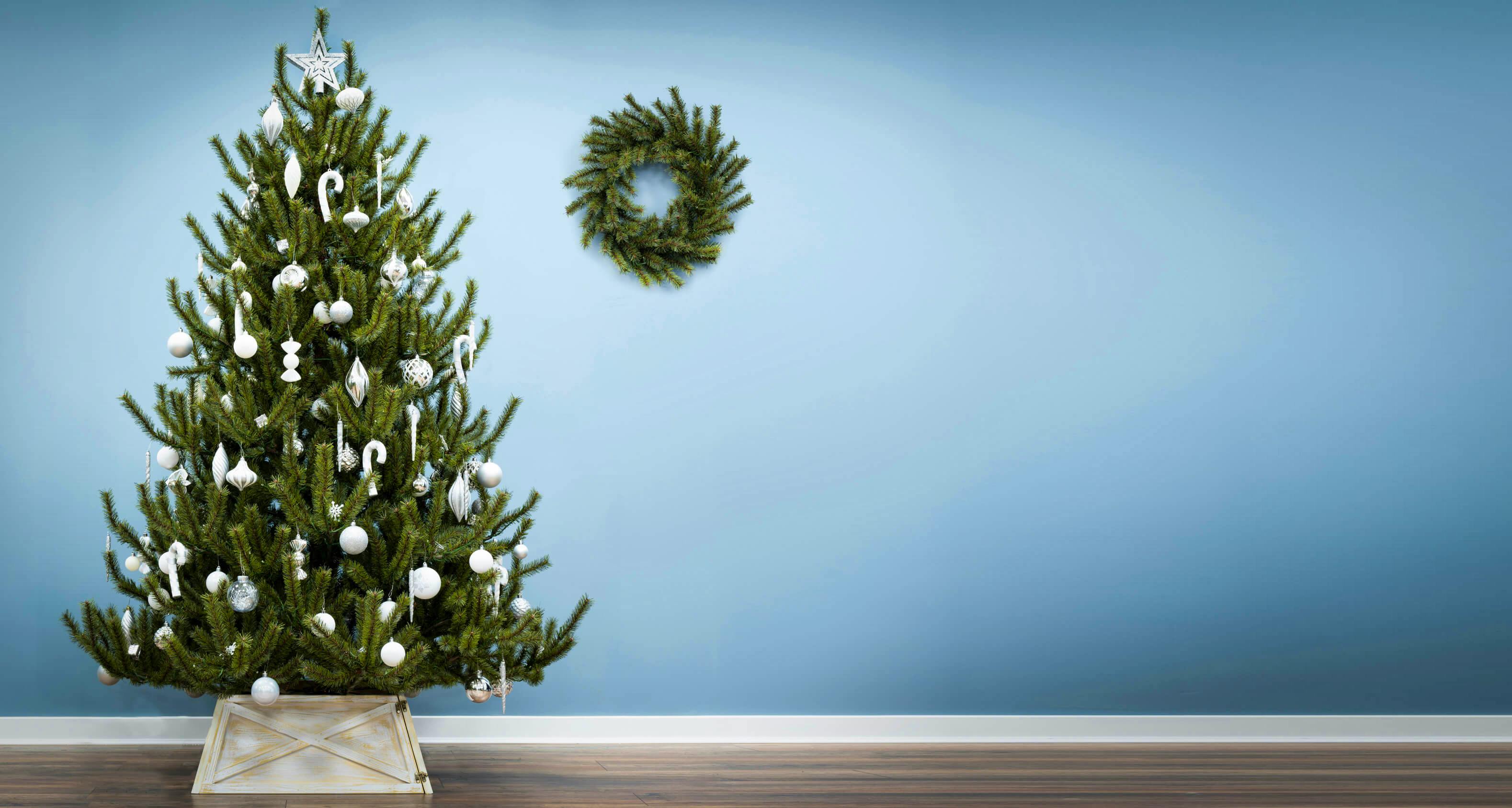 The 7ft Matterhorn Pine