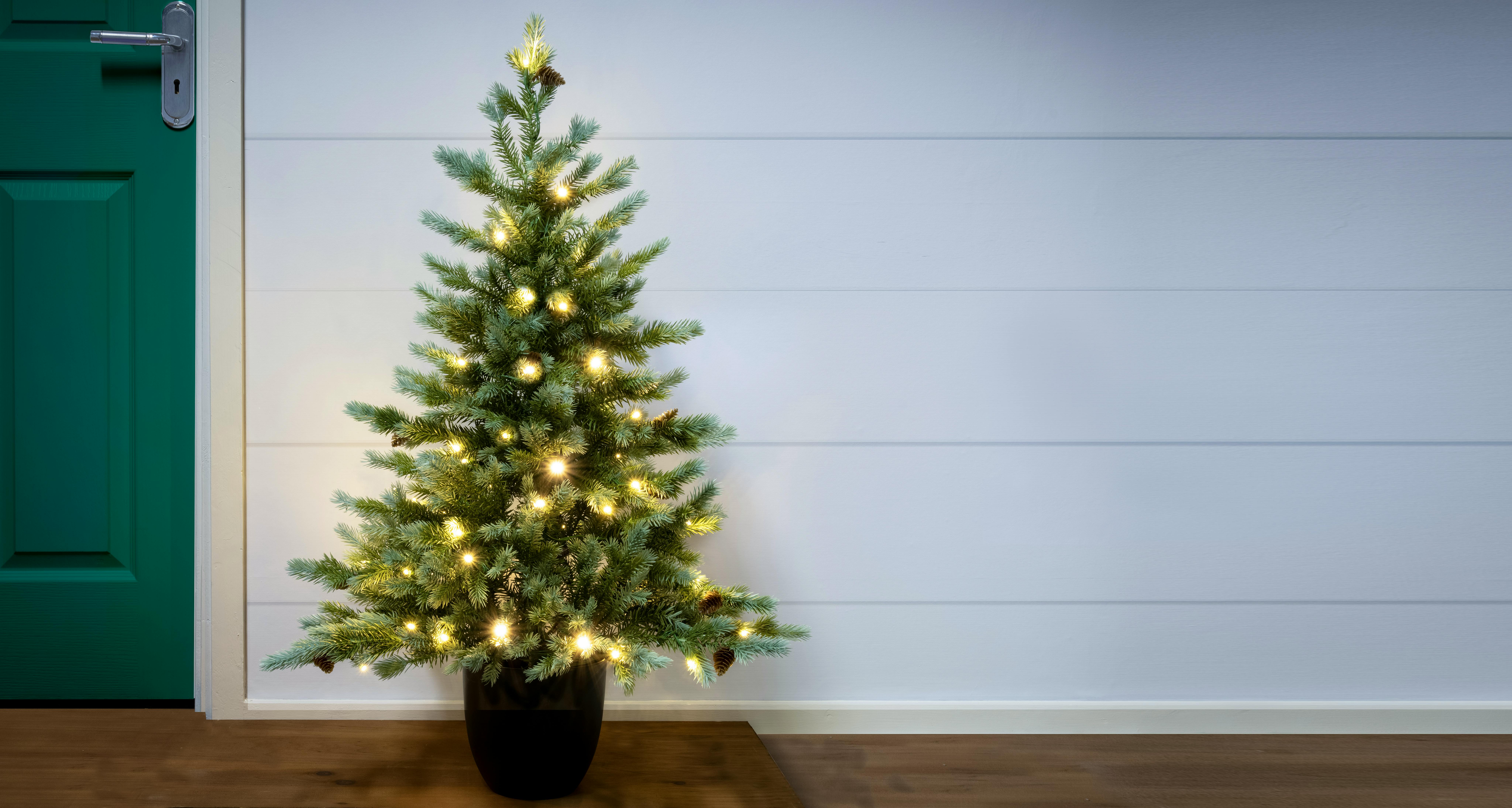 The Pre-lit Cairngorm Pine Potted Tree (3ft to 4ft)