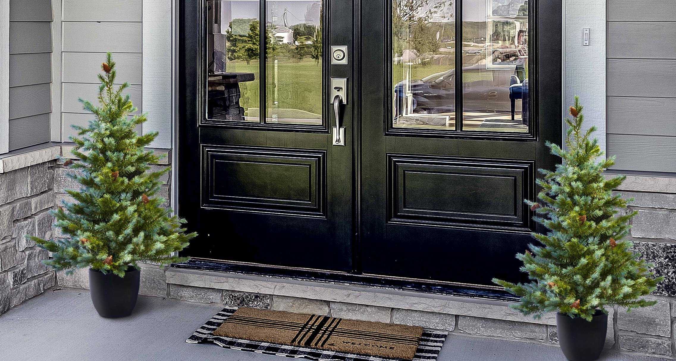 The Cairngorm Pine Potted Tree (3ft to 4ft) 