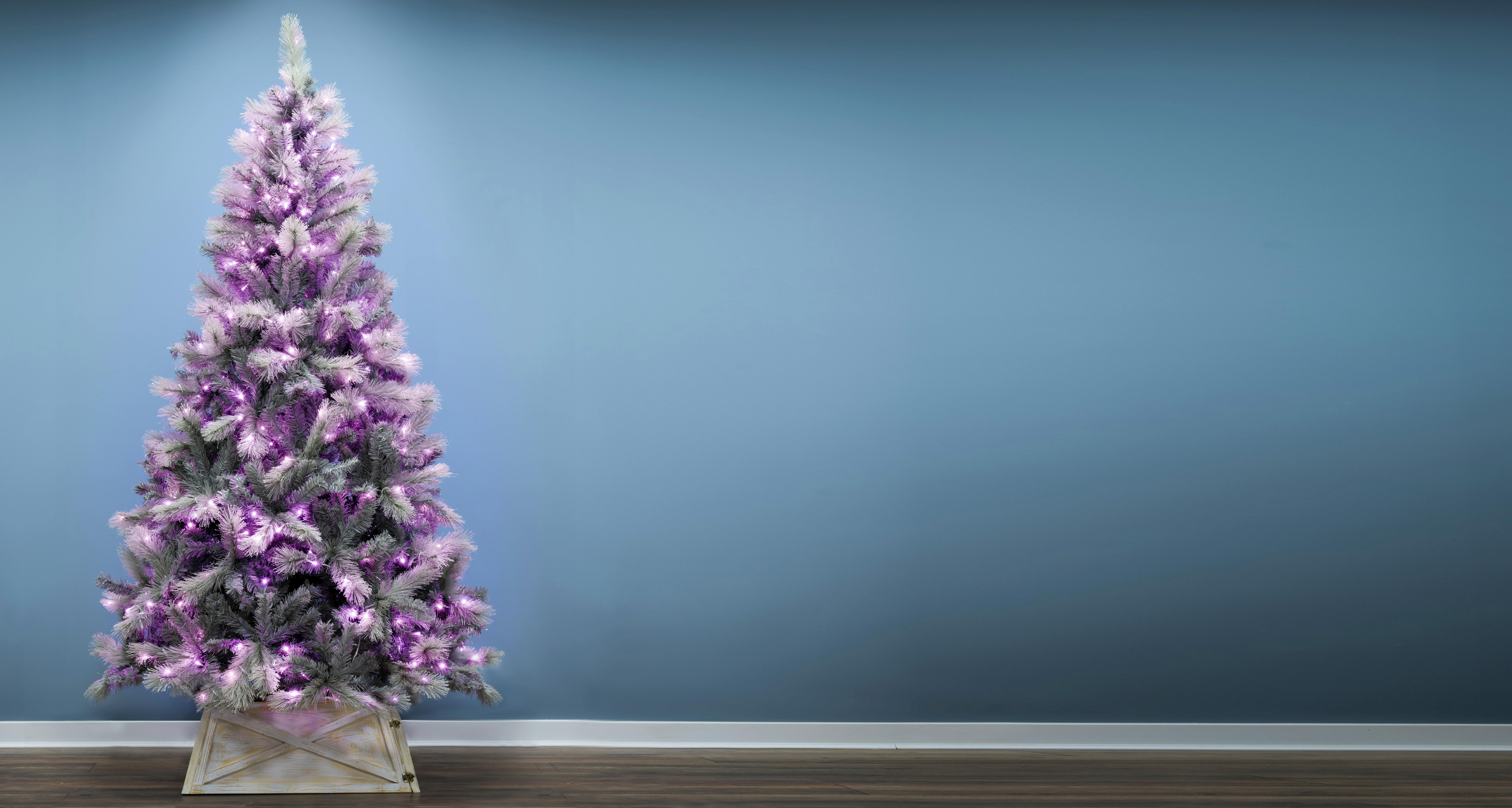 The Pre-lit Silver Majestic Dew Pine Tree - Pink LED lights