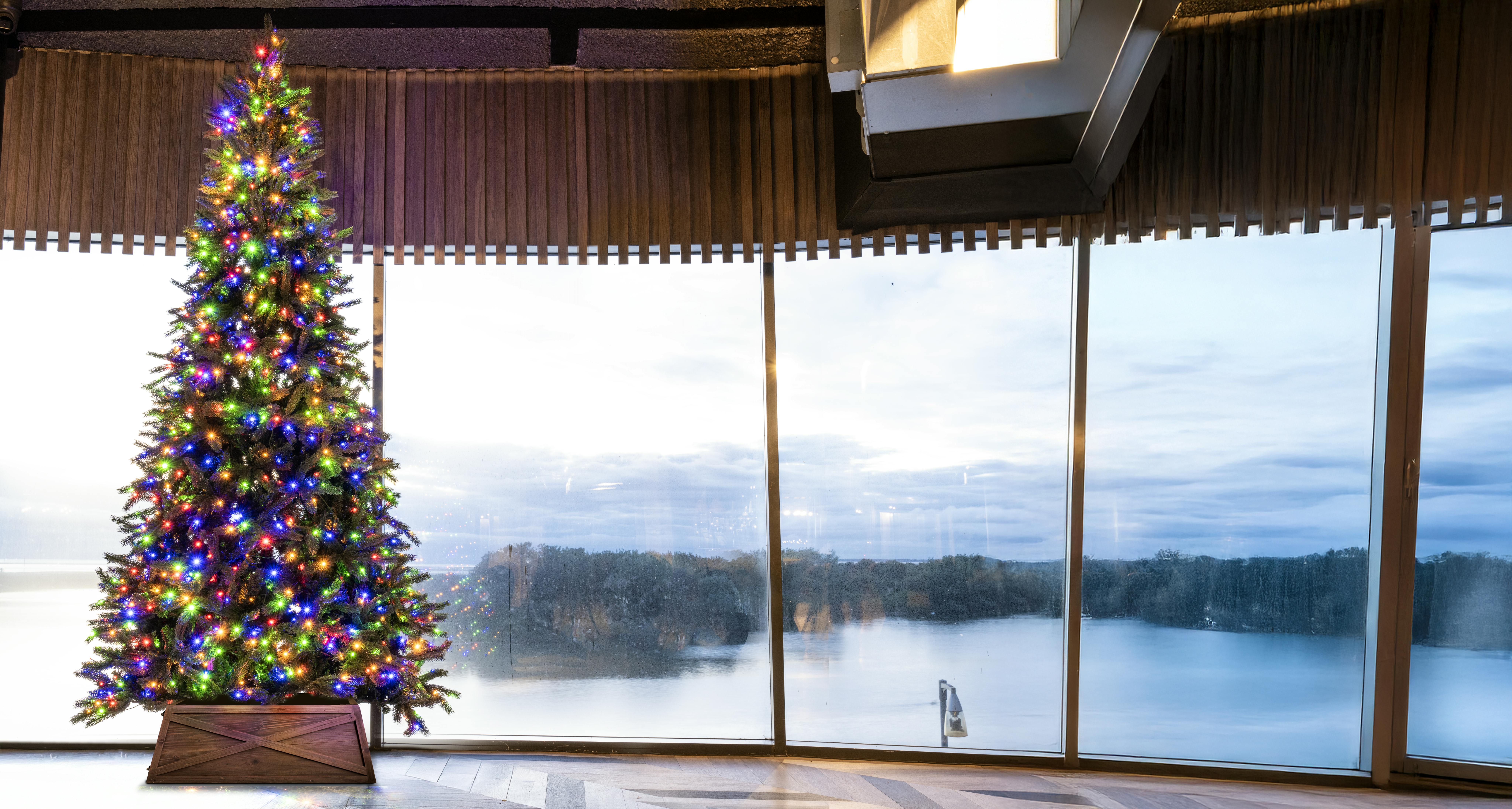 The 10ft Pre-lit Ultra Devonshire Tree - 4.6ft wide - Warm White/Multicoloured Colour Change LEDs