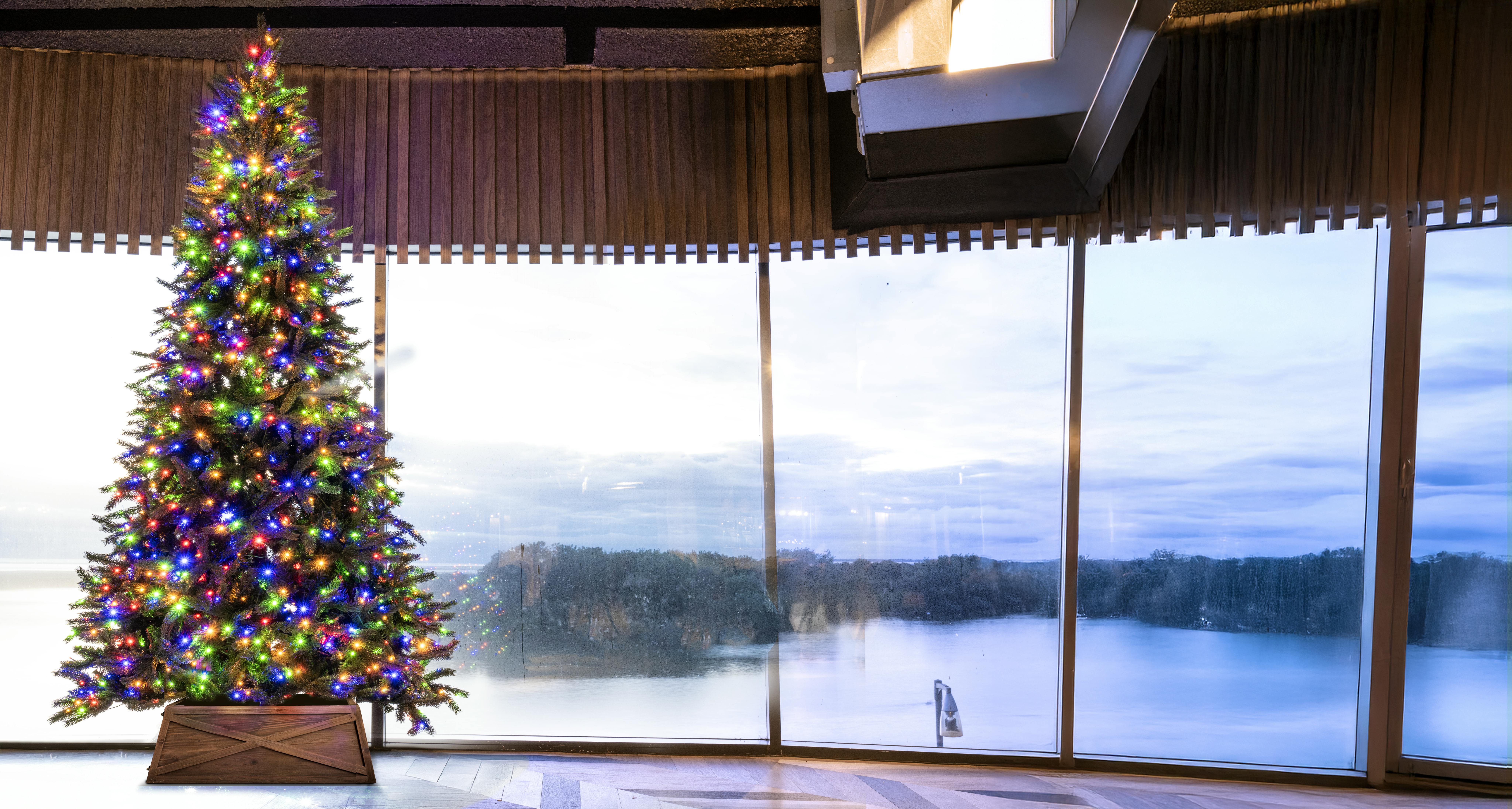 The 10ft Ultra Devonshire Fir Pre-lit with Warm White/Multicoloured Colour change LEDs