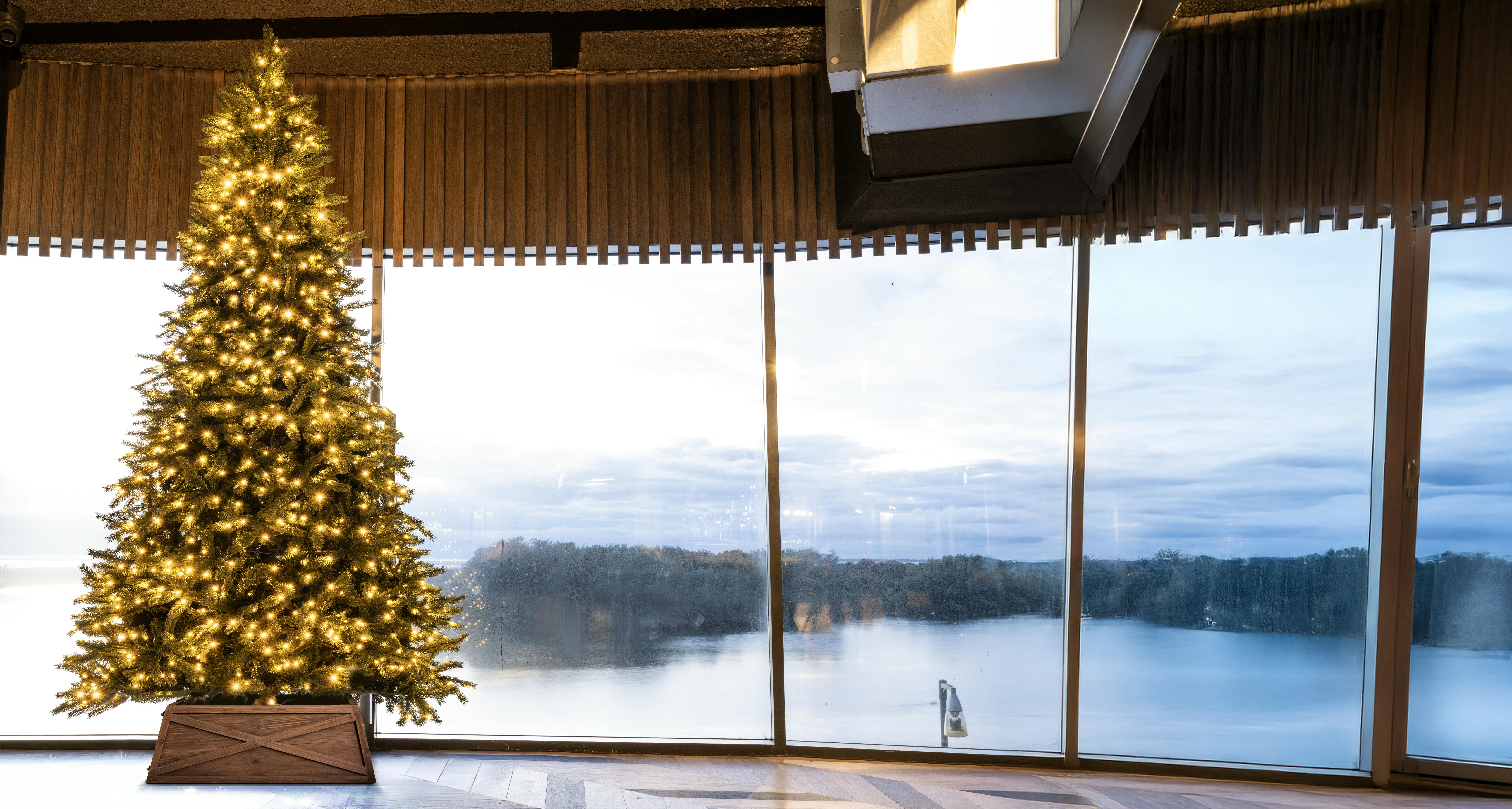 The 10ft Ultra Devonshire Fir Pre-lit with Warm White/White Colour change LEDs