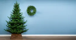 All Artificial Christmas Trees by Christmas Tree World.