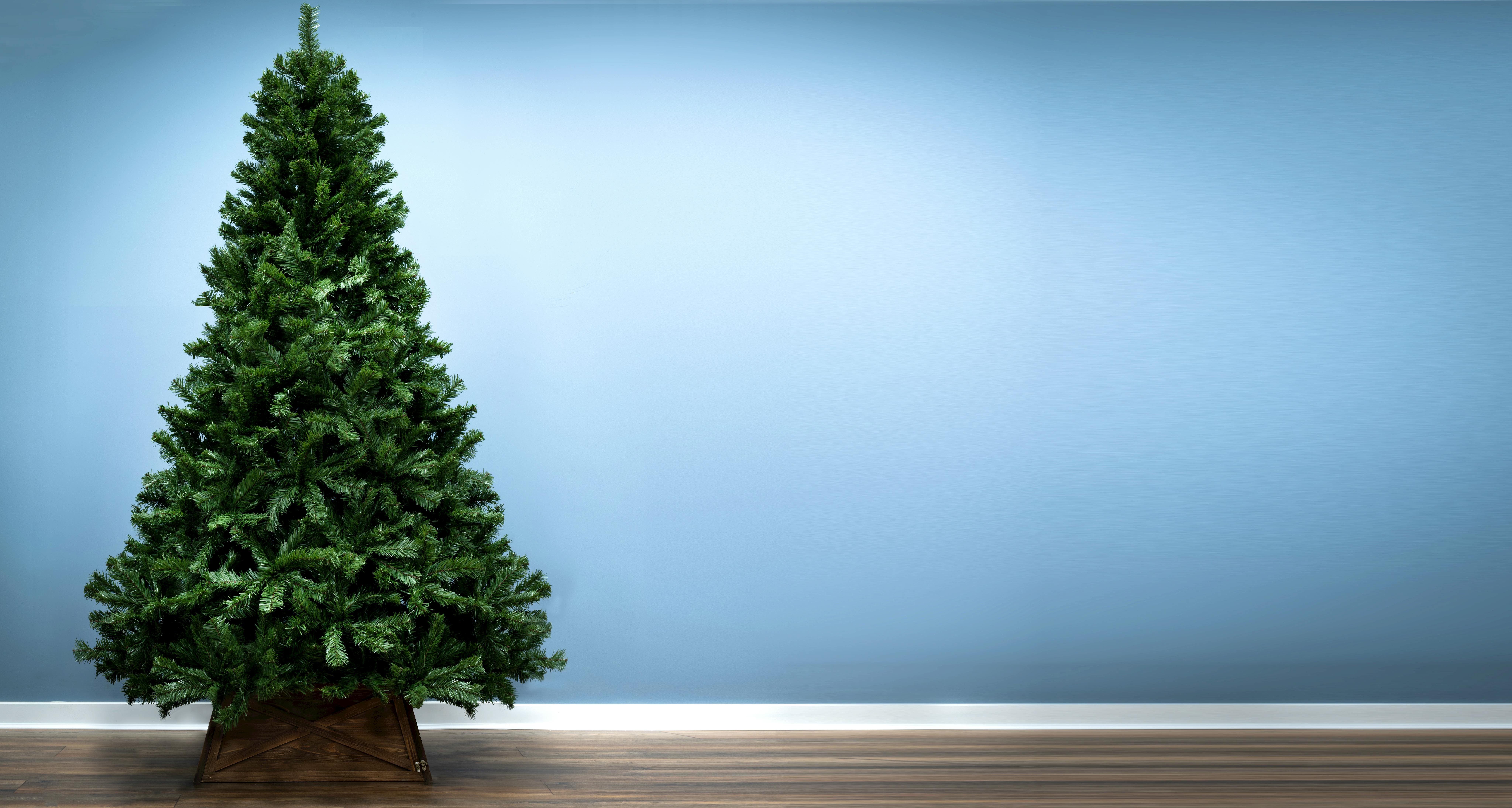 The 4ft Vanda Verde Fir Tree