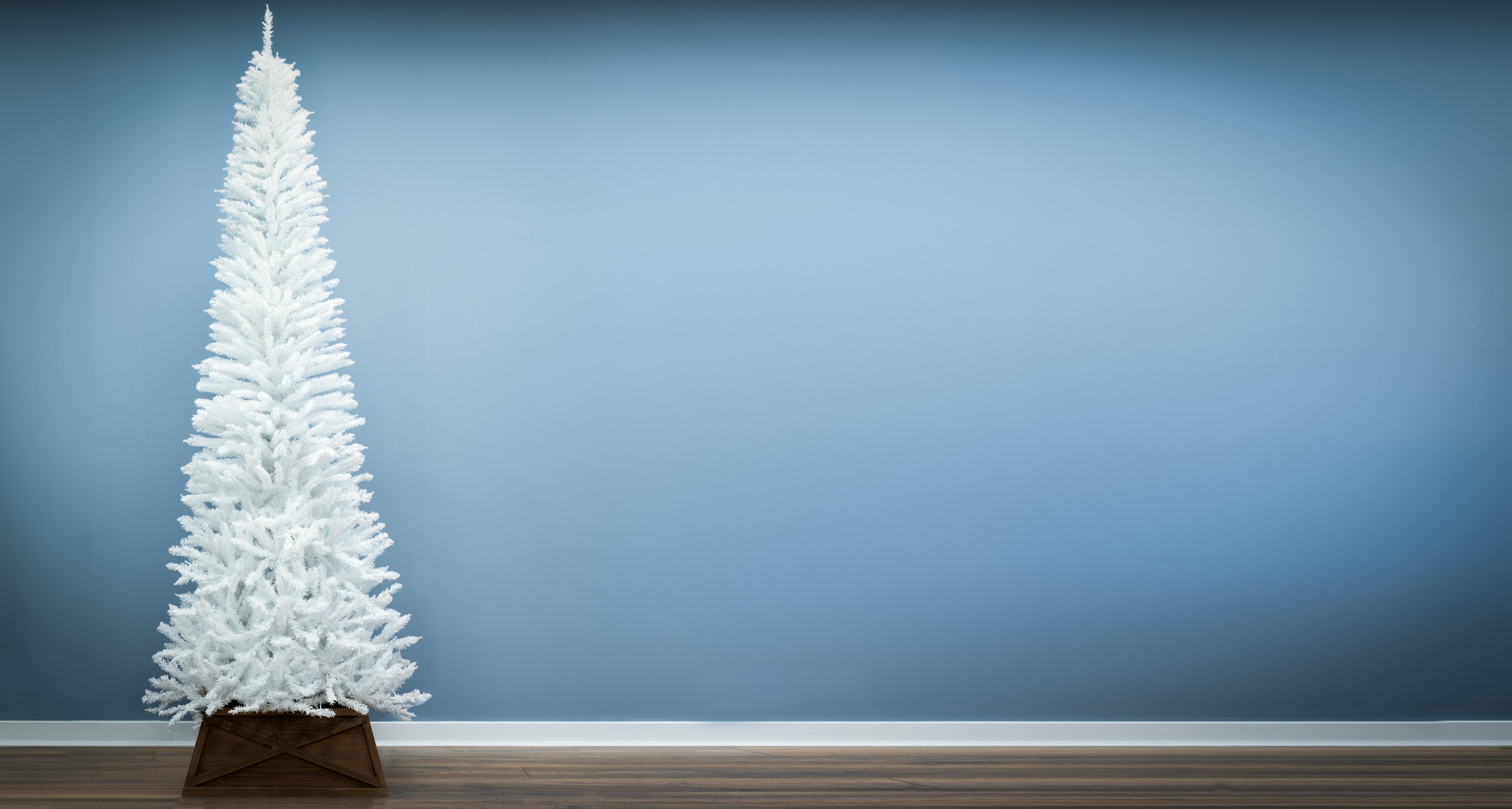 The 6ft White Italian Pencilimo Tree