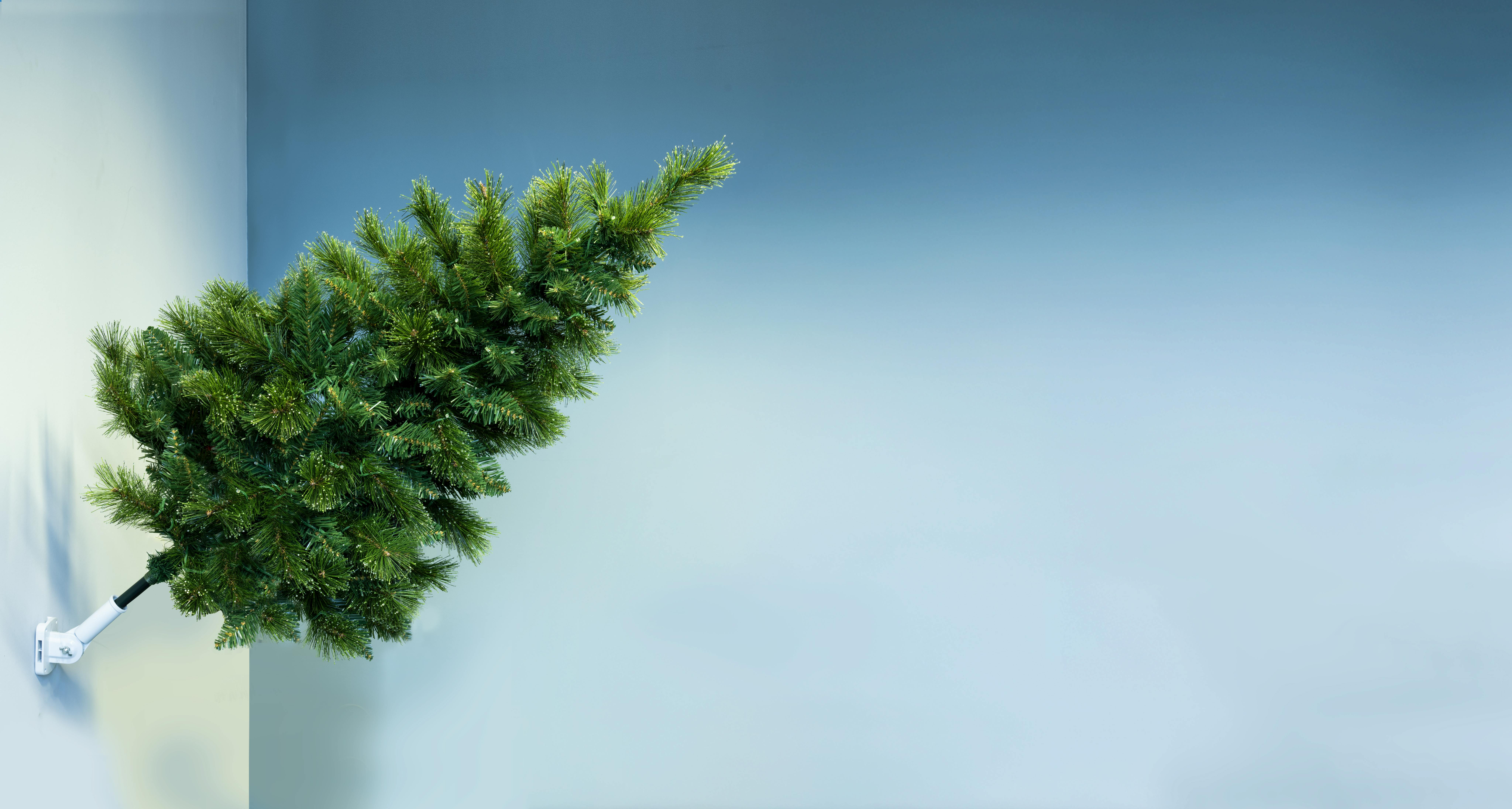 The Outdoor Wall Mounted Majestic Dew Pine Tree (3ft to 5ft)