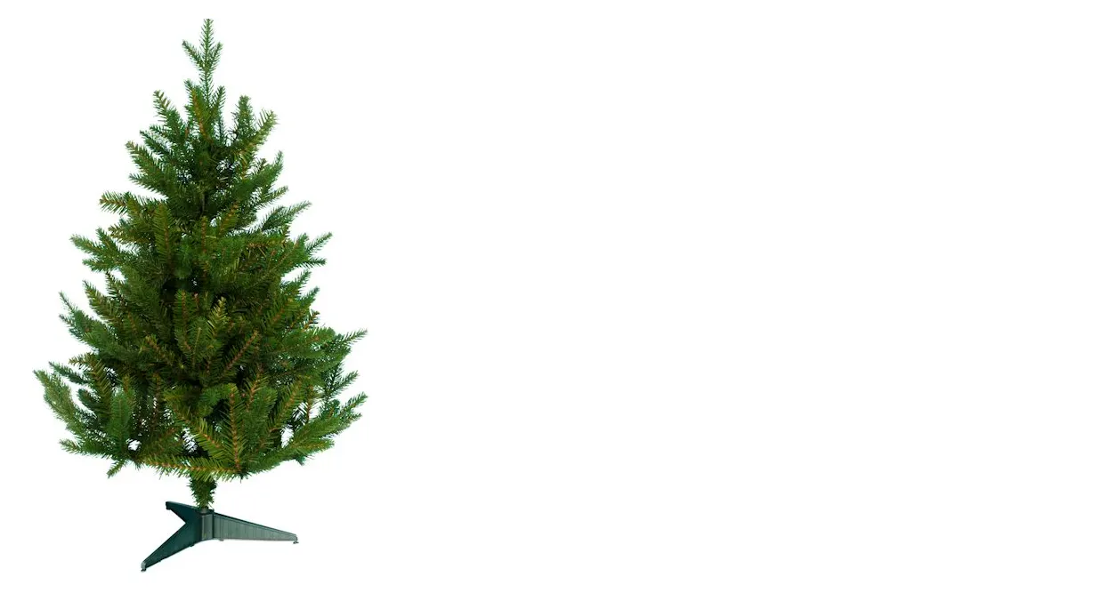 The 3ft Woodland Pine Tree