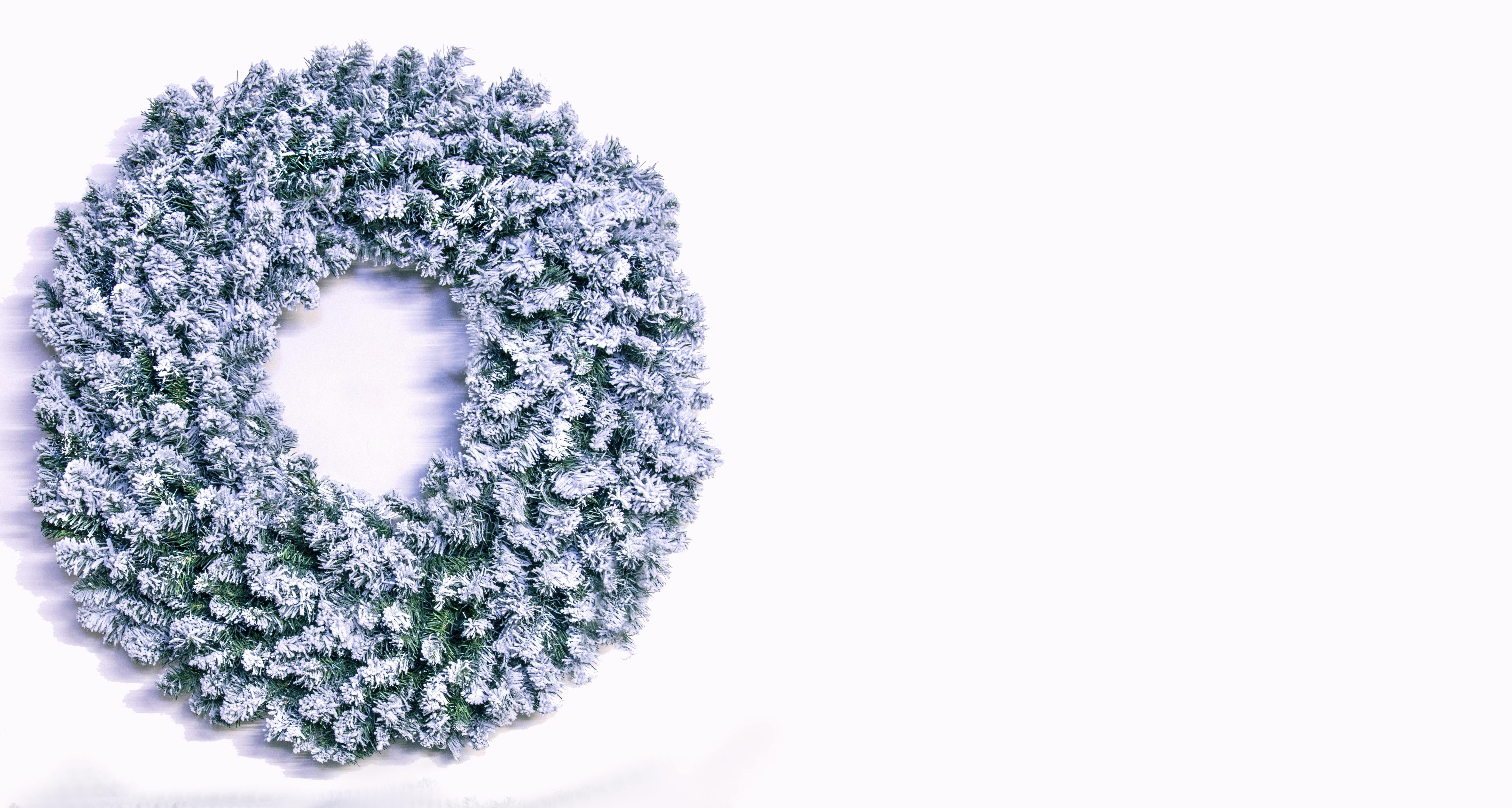 120cm Flocked Extra Wide Arbor Vitae Wreath