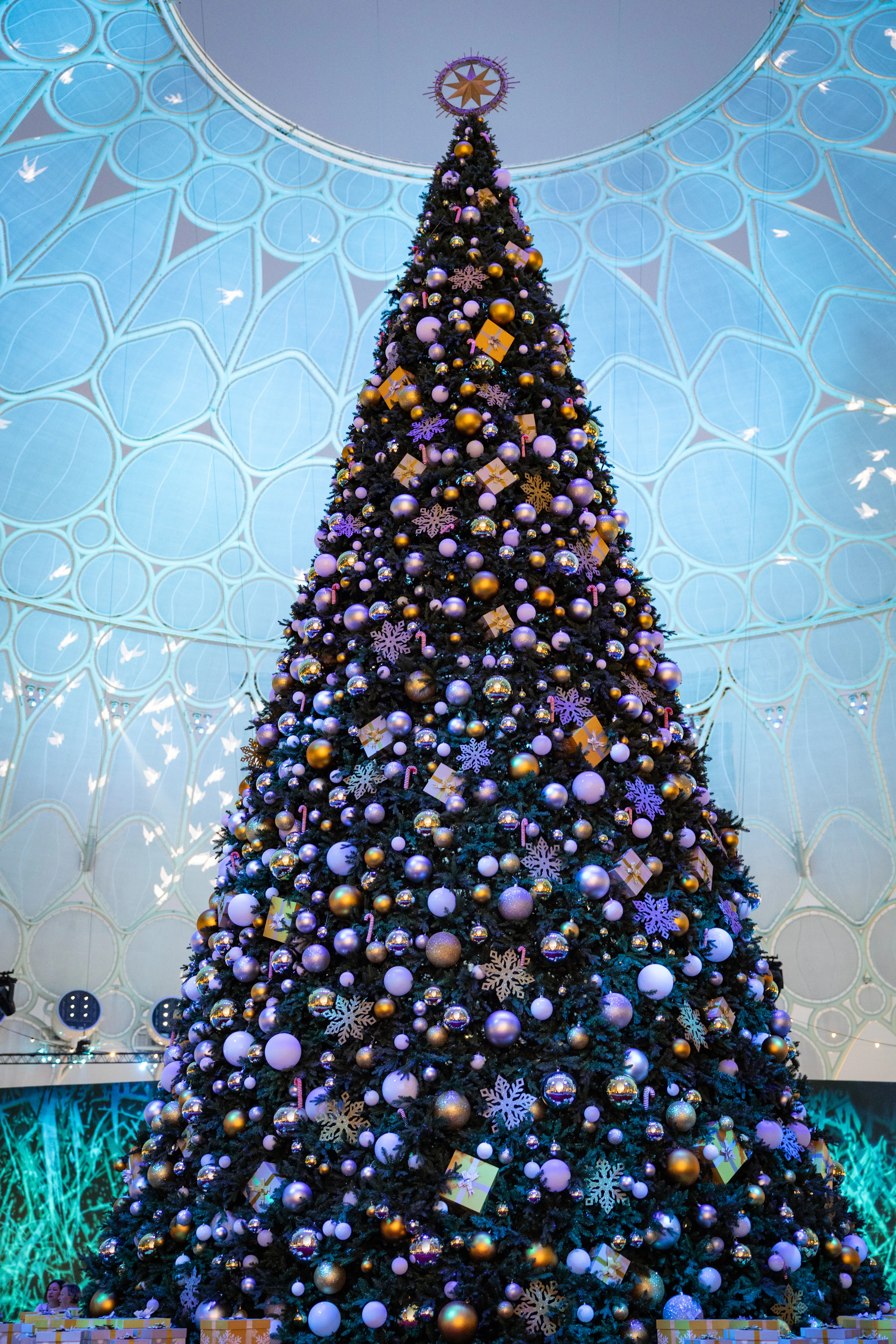 Winter City 2025 image 8