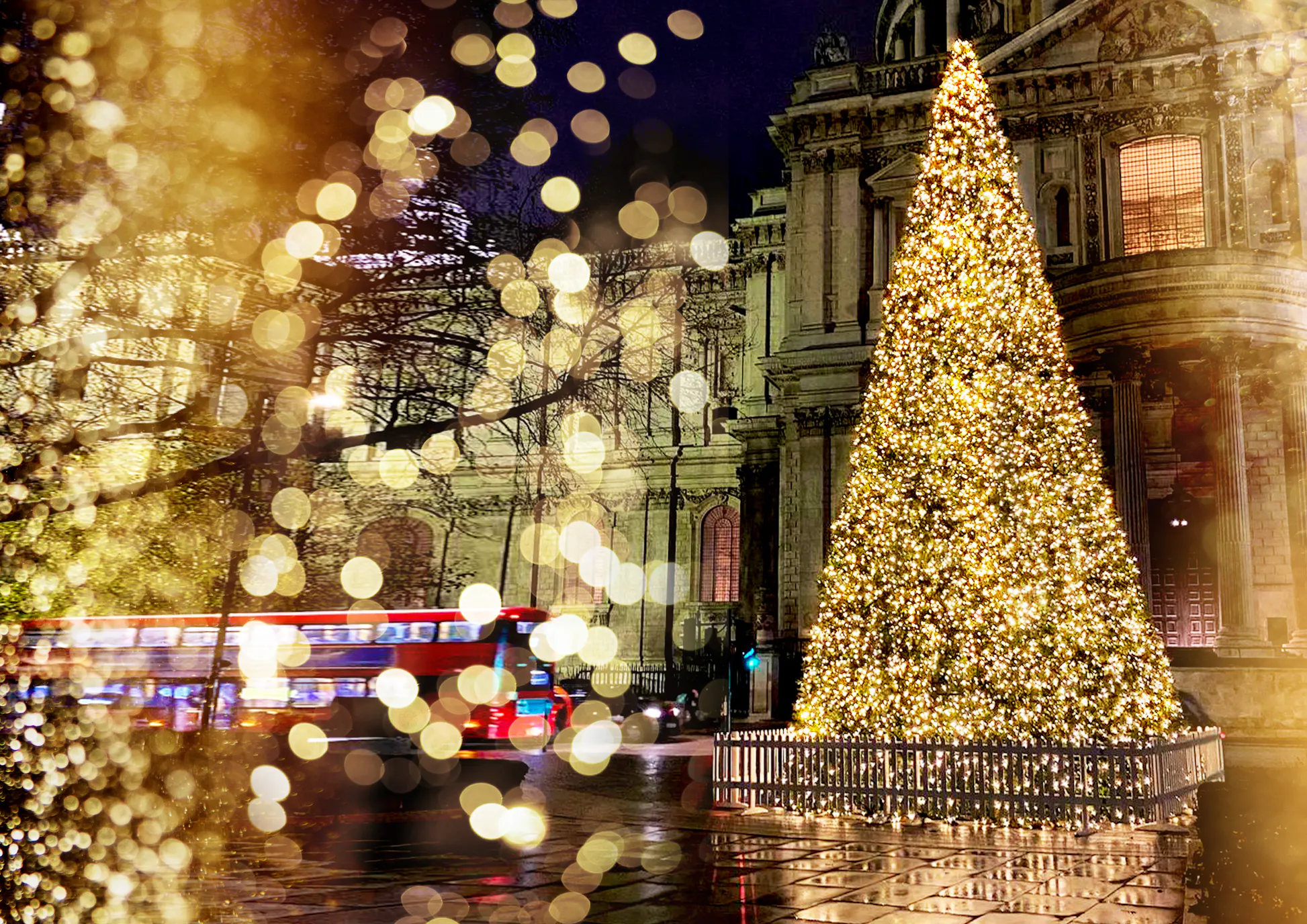 Bestselling Outdoor Commercial Trees