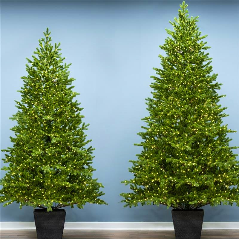 Giant Outdoor Tree 20PC Giant Woodland Branch connector set W/Transformer