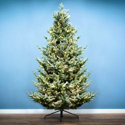 Snowy and flocked artificial Christmas trees