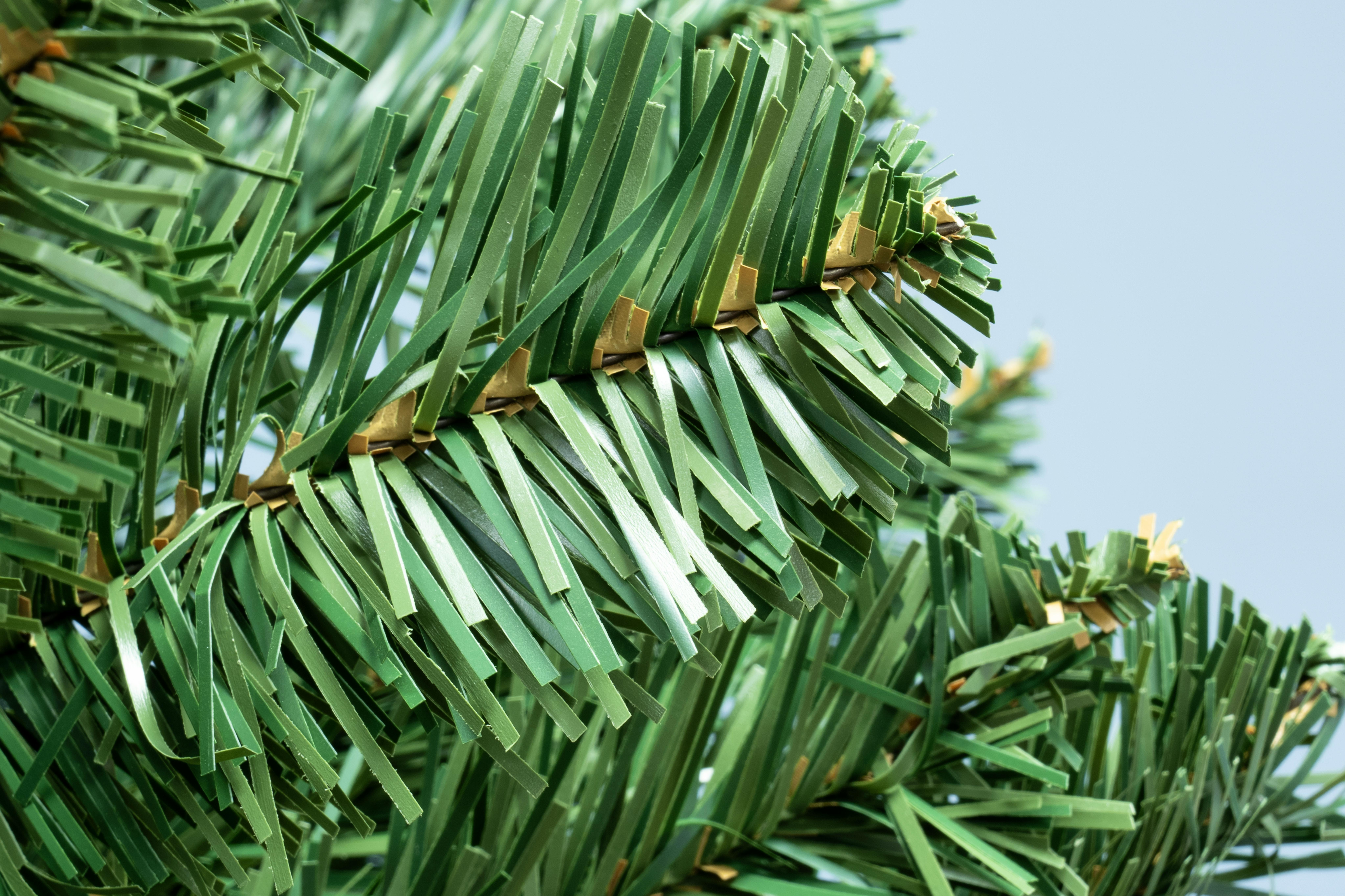 The 5ft Arbor Vitae Fir Half Tree